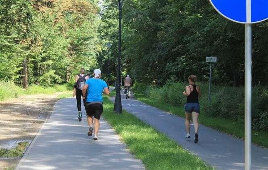 Puławy: Kamery w lesie będą droższe