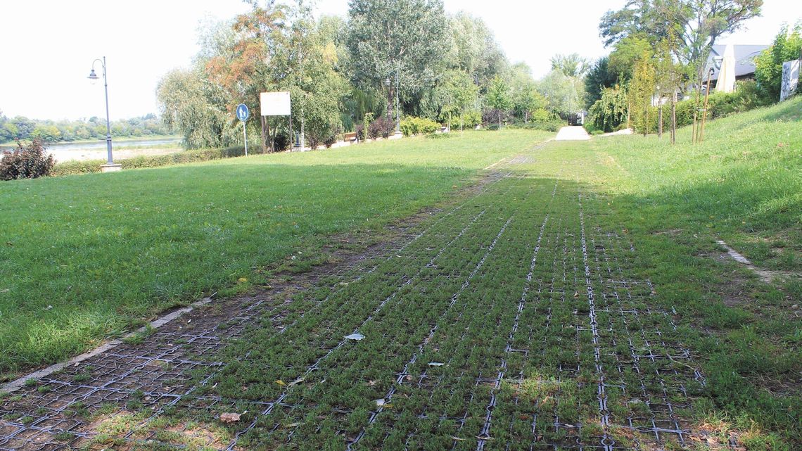 Puławy: Kolejne podejście do obywatelskich projektów