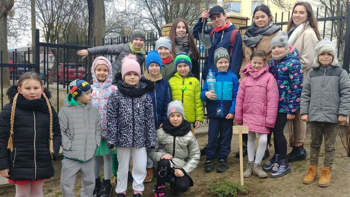 Puławy: Licealiści sadzą drzewka przy szkołach i przedszkolach