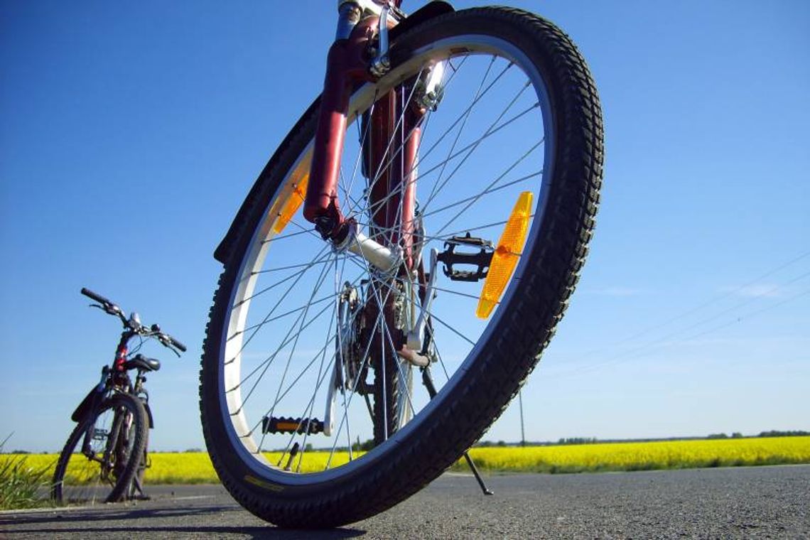 Puławy, Lublin: Niebezpieczne wypadki na ścieżkach rowerowych Puławy, Lublin: Niebezpieczne wypadki na ścieżkach rowerowych