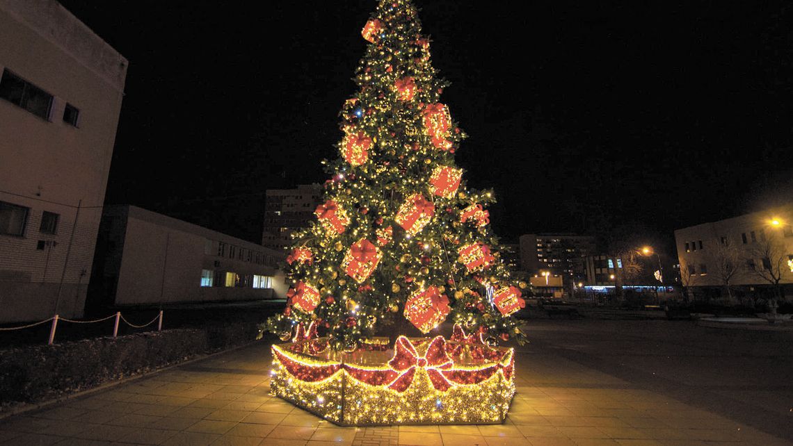 Puławy mają nową choinkę