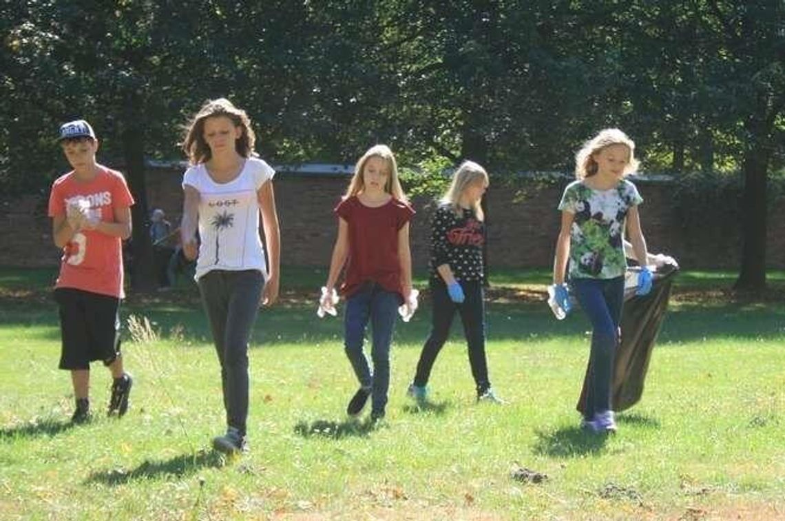 Puławy: Miejskie pieniądze na krówki, sprzątanie miasta i walkę z komarami