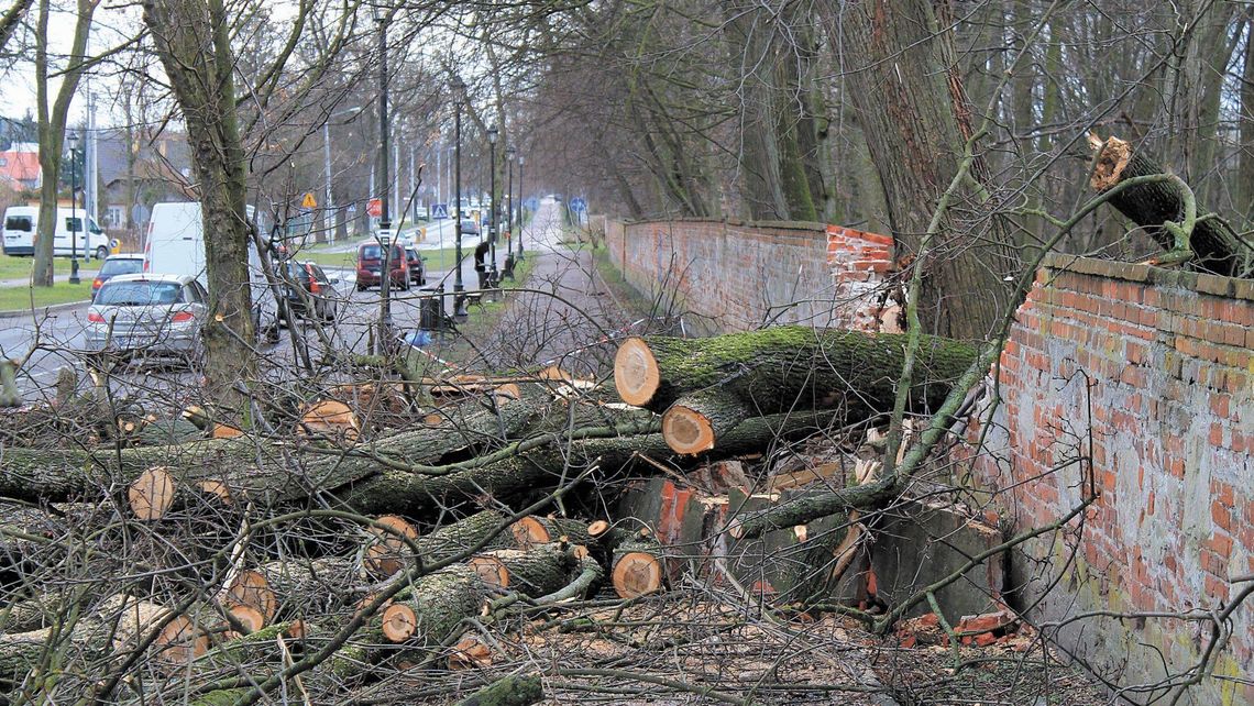 Puławy: Najpierw oszpecili go grafficiarze, a potem na zabytkowe ogrodzenie spadło drzewo