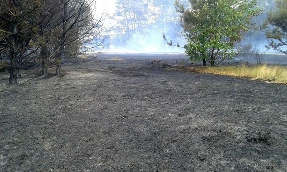 Puławy. Największy pożar od lat, ogromne straty