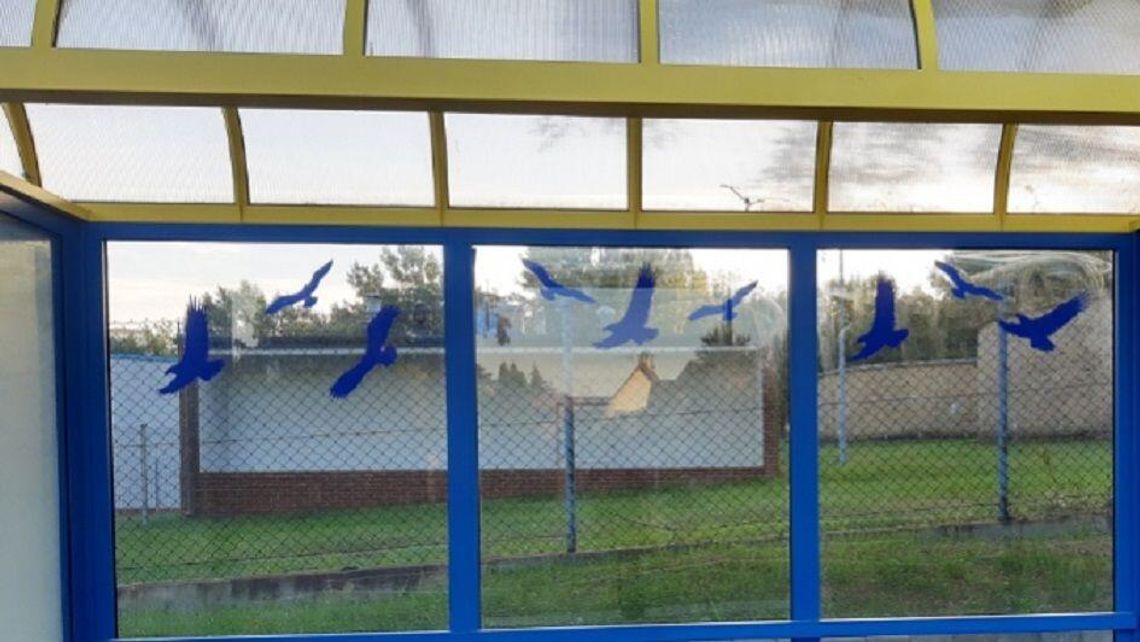 Puławy: Nietypowe kolizje na przystankach. Pomogą specjalne naklejki Puławy: Nietypowe kolizje na przystankach. Pomogą specjalne naklejki