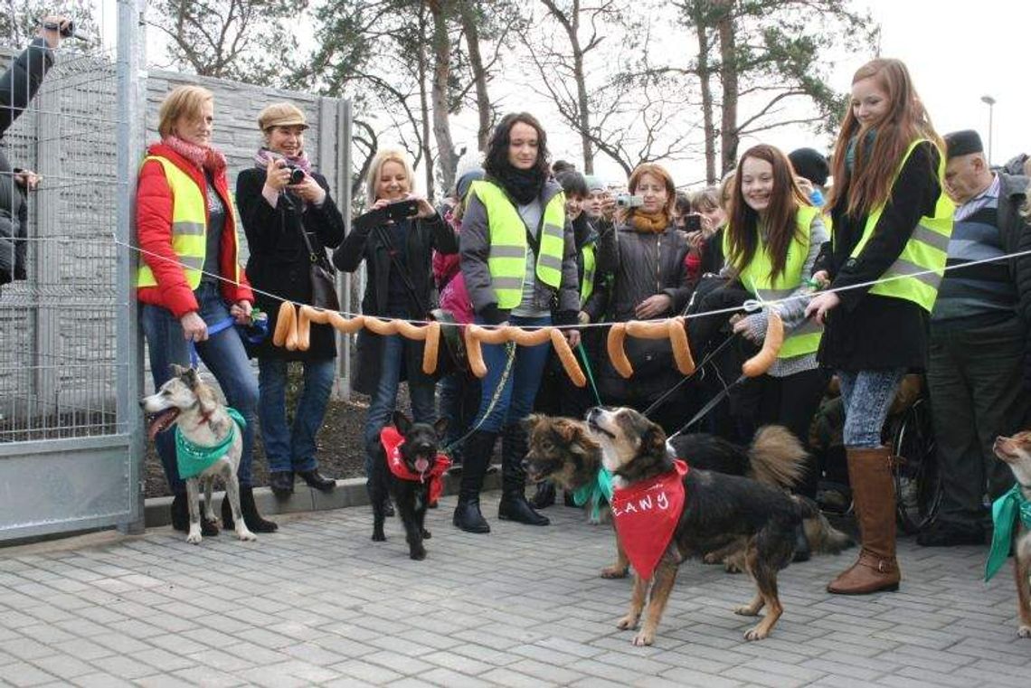 Puławy: Nowe schronisko dla zwierząt już otwarte