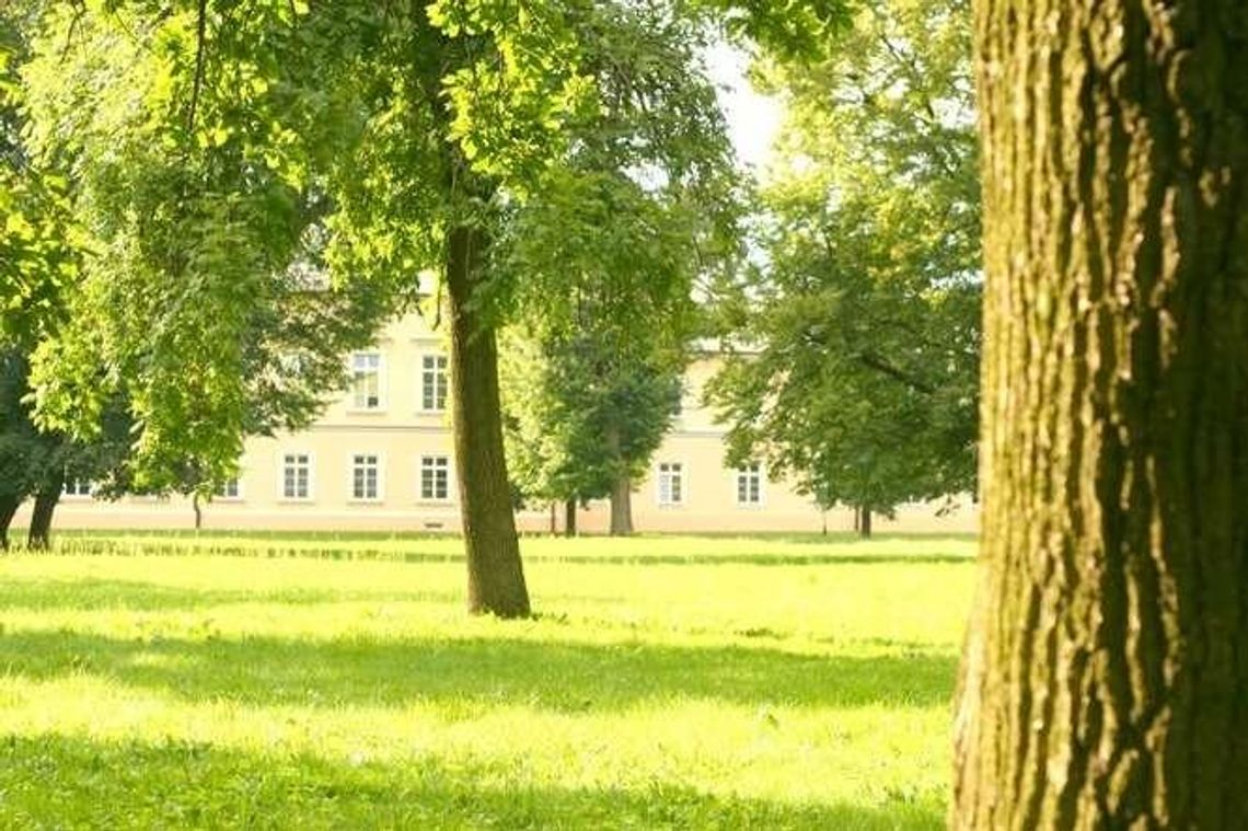 Puławy: Poznaj zieloną przestrzeń miasta