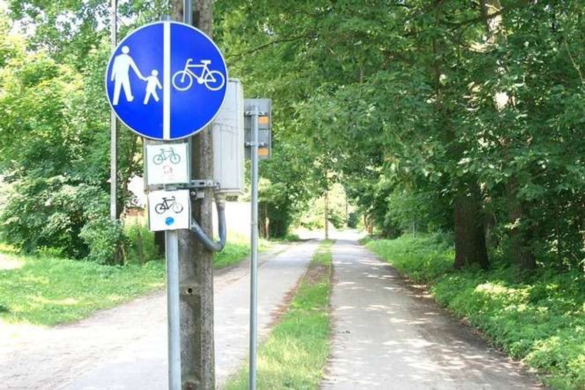 Puławy: Przez las równą ścieżką. Ale nie do końca