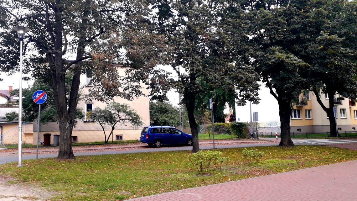 Puławy: Przy tych ulicach powstaną nowe miejsca parkingowe. Duże drzewa mają ocaleć