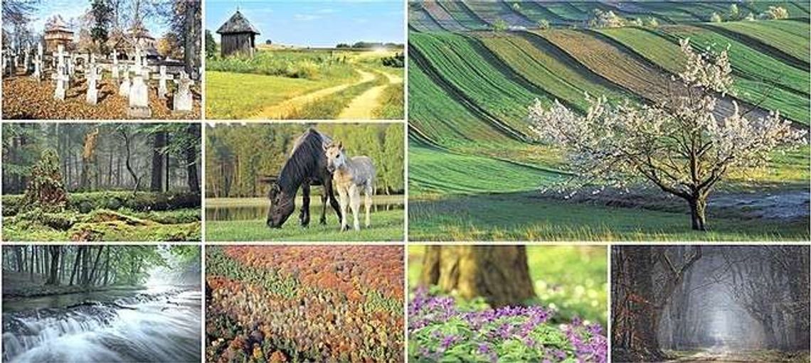 Puławy: Roztocze na placu Chopina