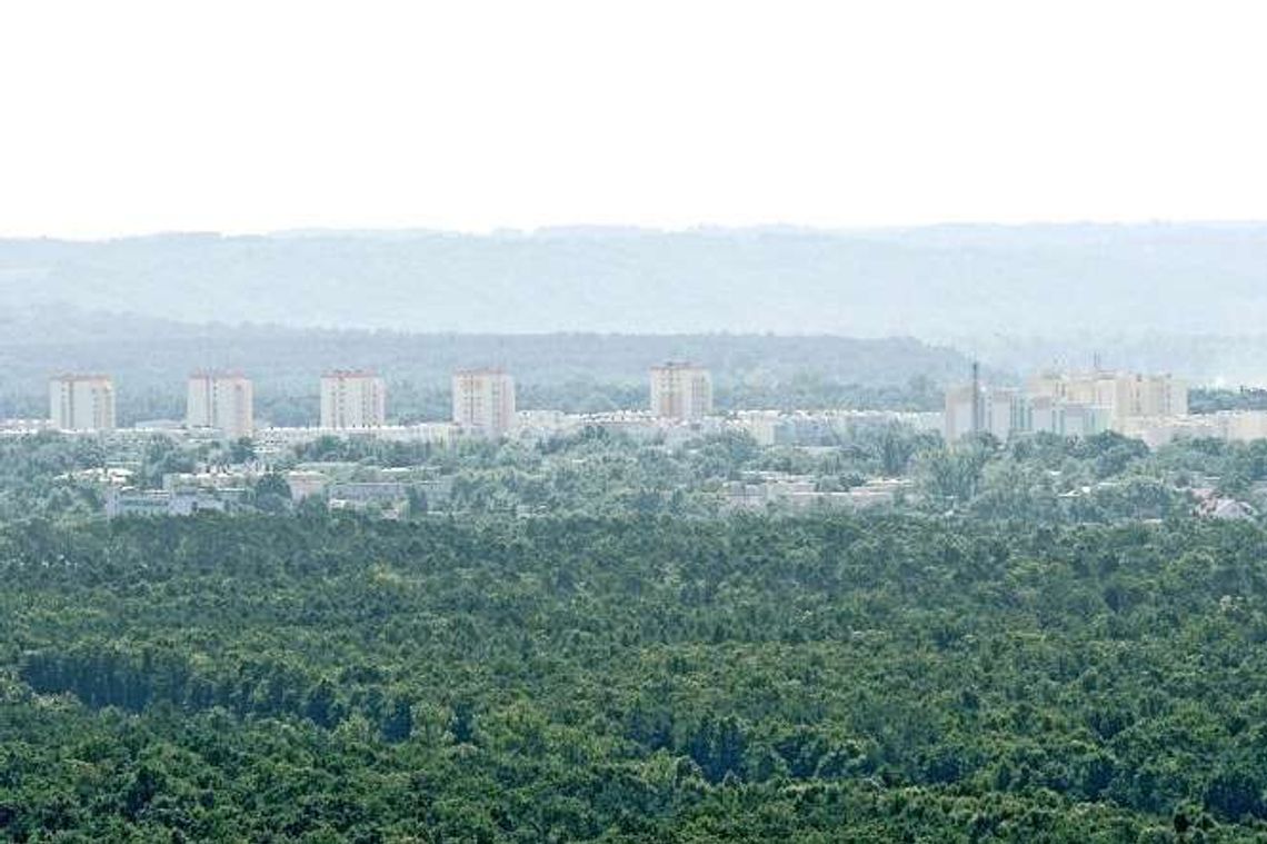 Puławy. Rozwój miasta czy wycinka lasu?