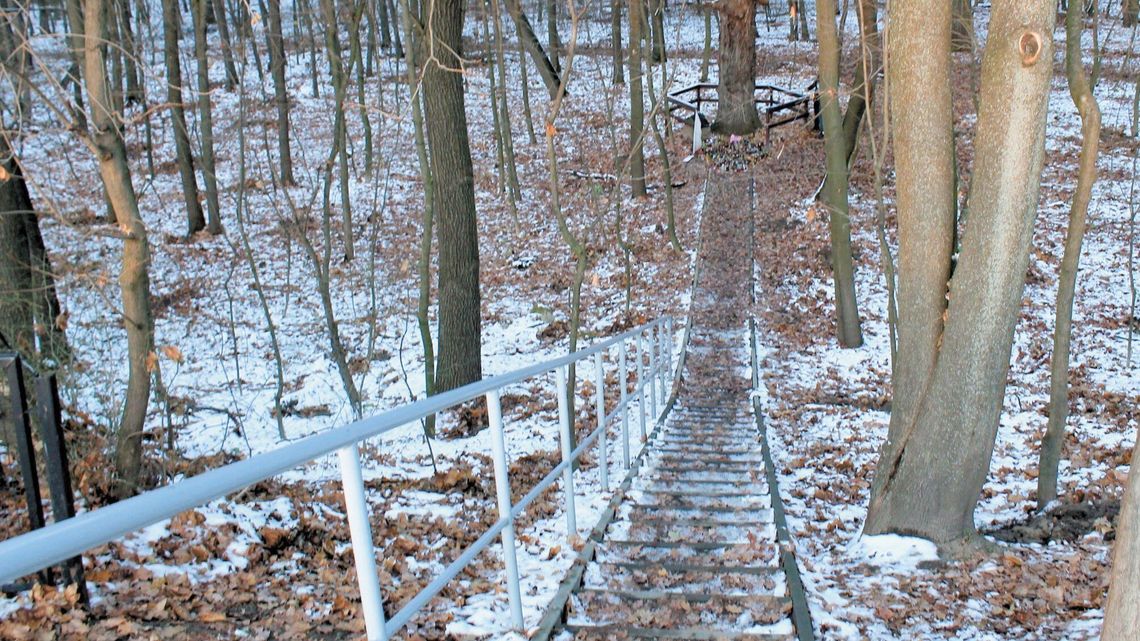 Puławy: Saperzy szukają śladów egzekucji