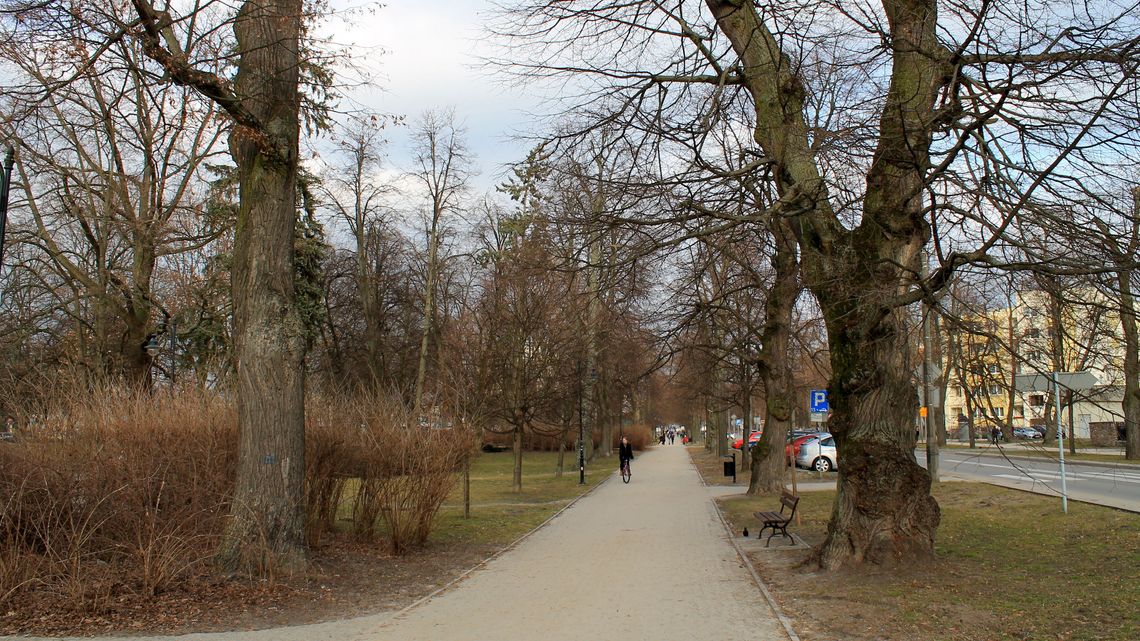 Puławy: Trudna walka z niechcianym ptactwem