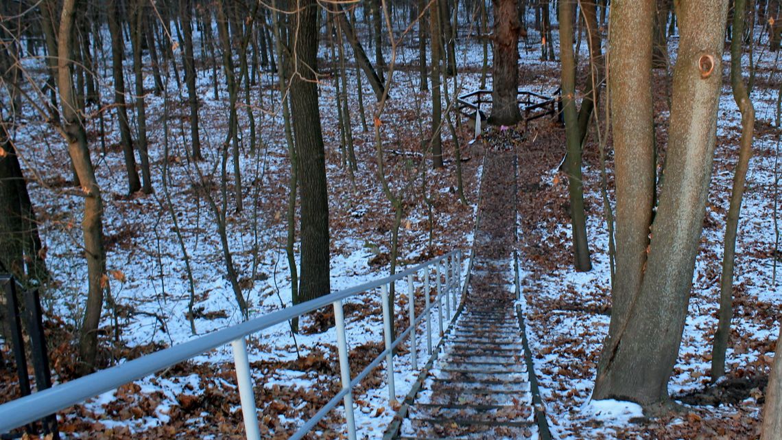 Puławy: W tym miejscu odbywały się egzekucje. Znaleziono łuski z karabinów
