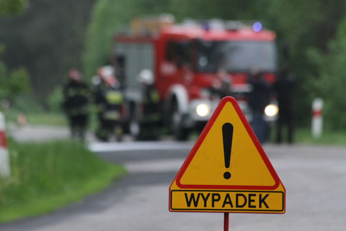 Puławy: Zderzenie passata z łosiem