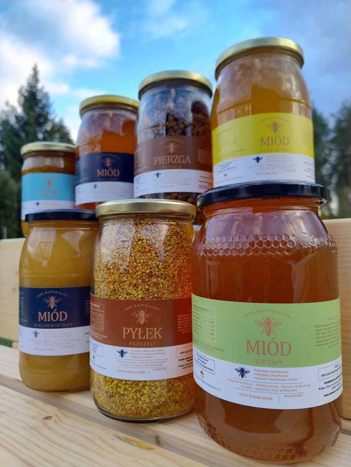 Pyłek pszczeli – naturalny superfood prosto z polskiej pasieki produkty-pszczele-miod-pylek-pierzga