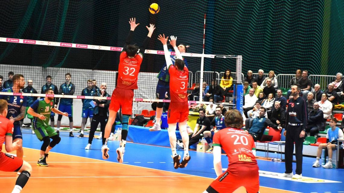 PZL Leonardo Avia i Bogdanka Arka z porażkami na koniec rundy zasadniczej PZL Leonardo Avia i Bogdanka Arka z porażkami na koniec rundy zasadniczej