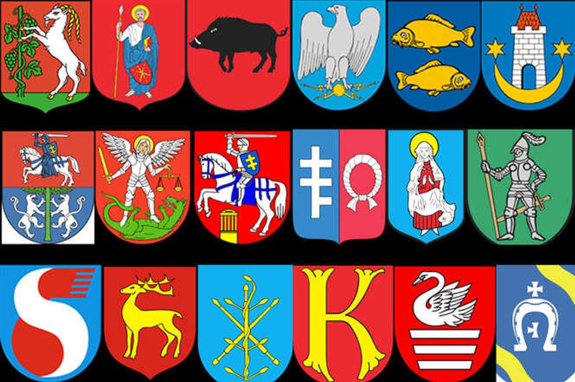 QUIZ: Czy rozpoznasz herby miast z woj. lubelskiego?