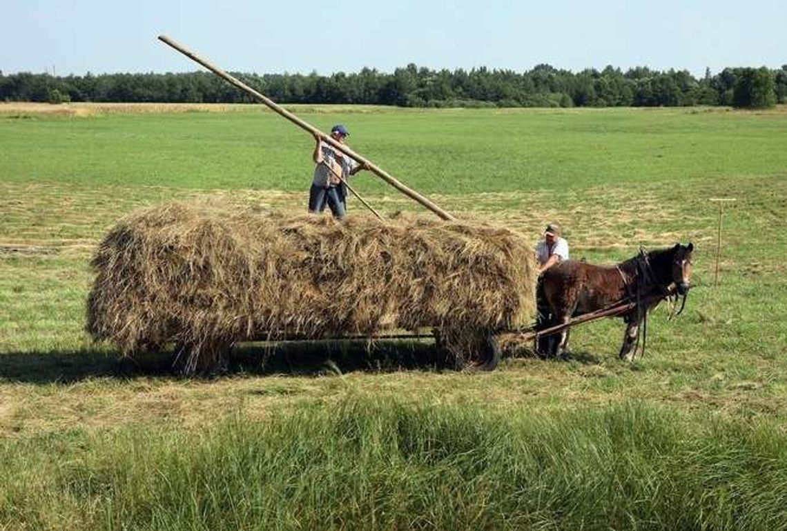 QUIZ: Sprawdź, czy możesz zostać prawdziwym rolnikiem