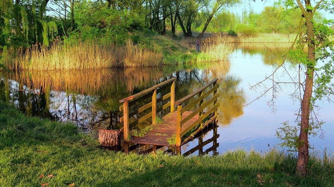 Raczej nad stawy niż do Złotych Piasków. Na wakacje jedzie niewielu i niedaleko
