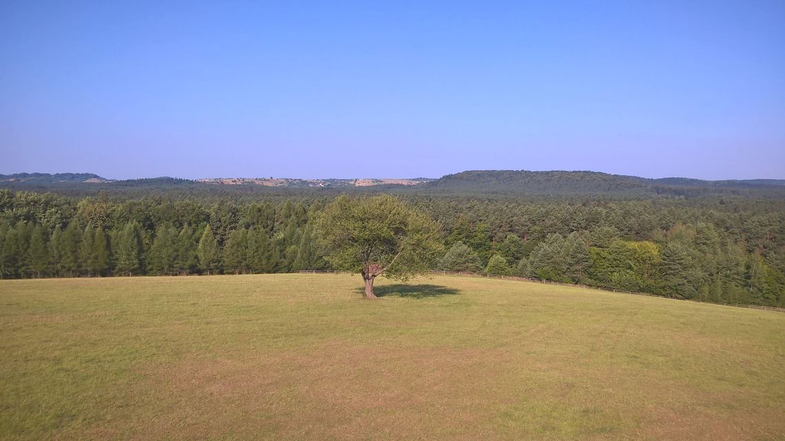Rada naukowa mało naukowa. Kontrowersje wokół Roztoczańskiego Parku Narodowego