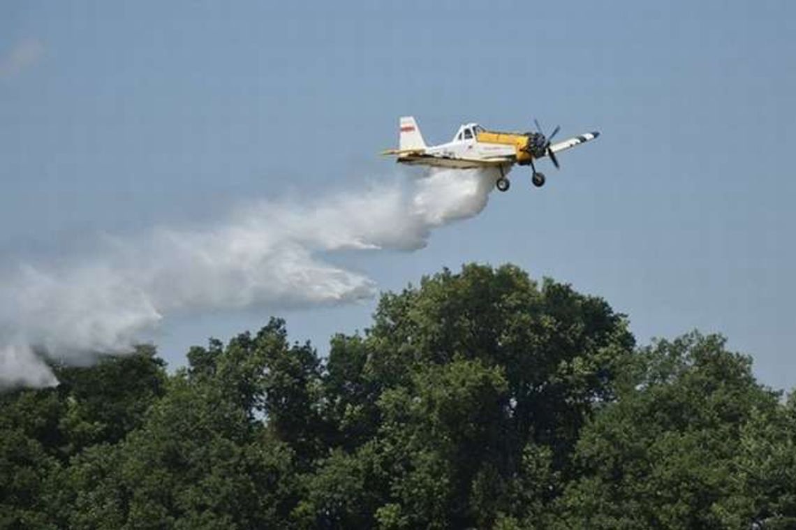 Radawiec: Zapaliło się ściernisko. Gasili samolotem