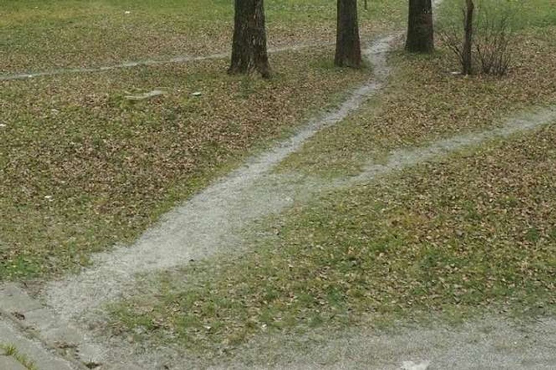 Radna PO prosi o patrona dla skweru