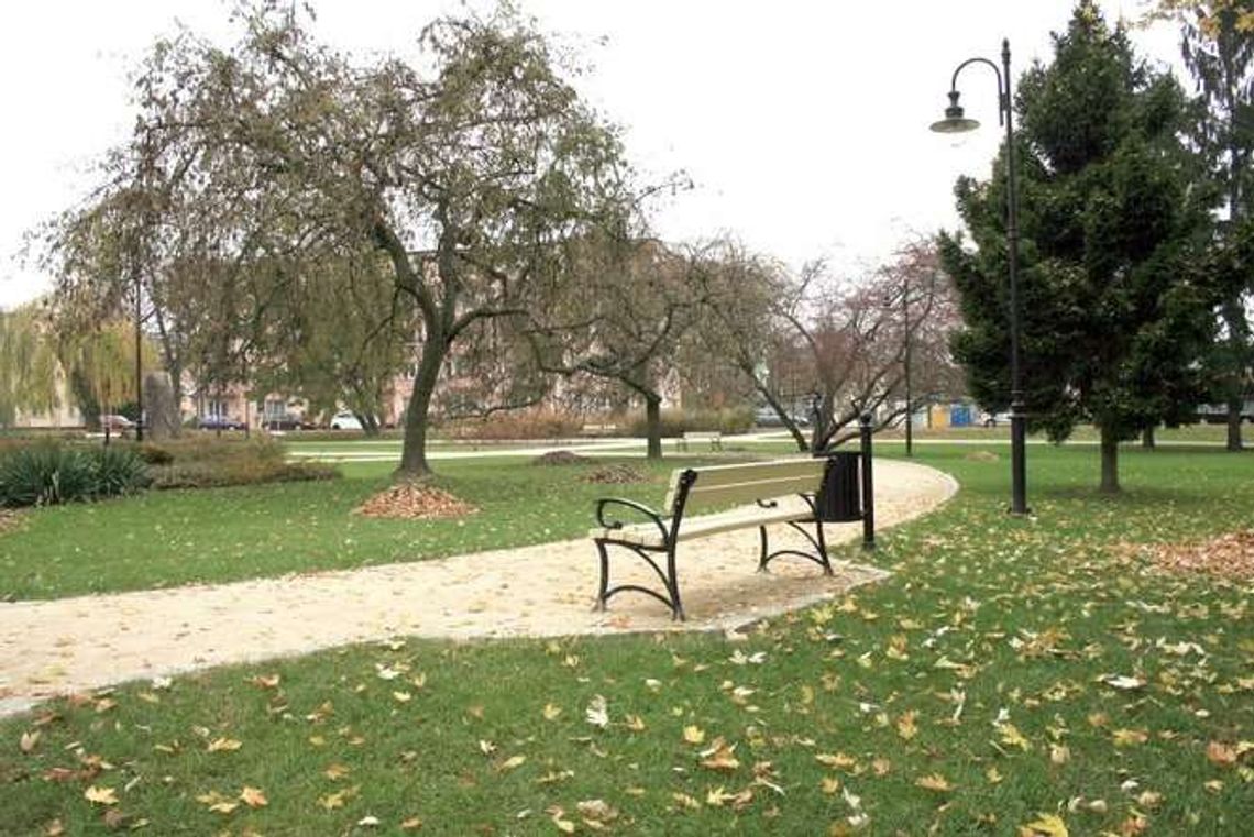 Radni nie zajmą się sprawą nasadzeń na Skwerze Niepodległości w Puławach Radni nie zajmą się sprawą nasadzeń na Skwerze Niepodległości w Puławach