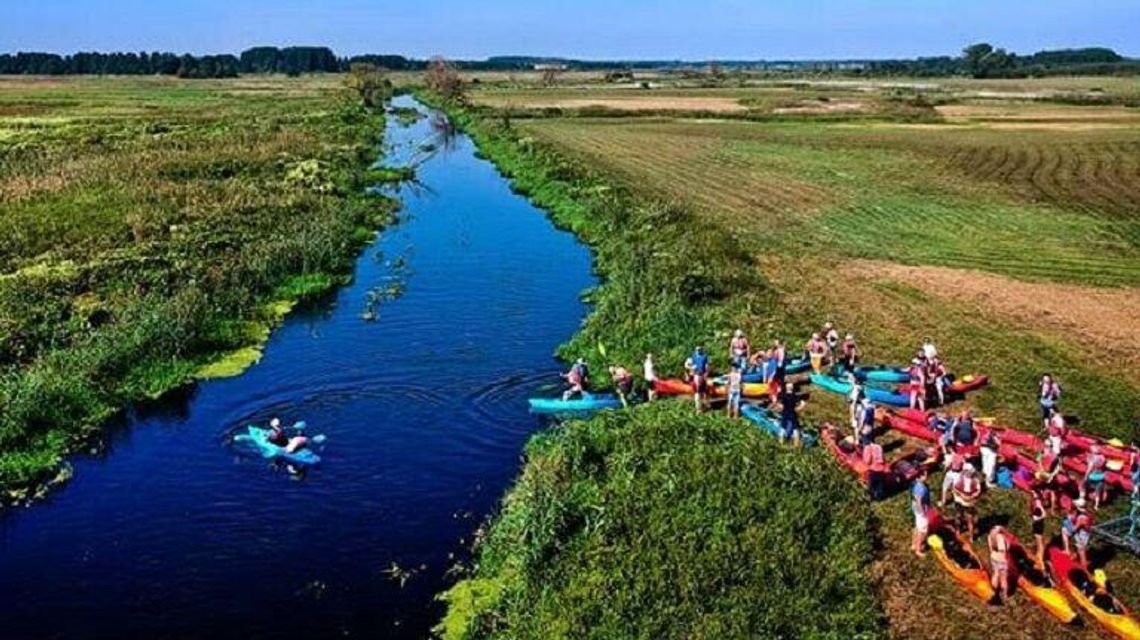 Radny chce więcej jazów na rzekach. Wody Polskie rozkładają ręce 