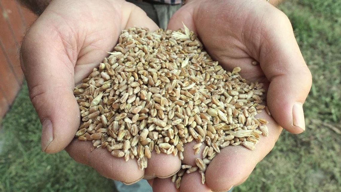 Radny prosi o medale dla rolników z Lublina