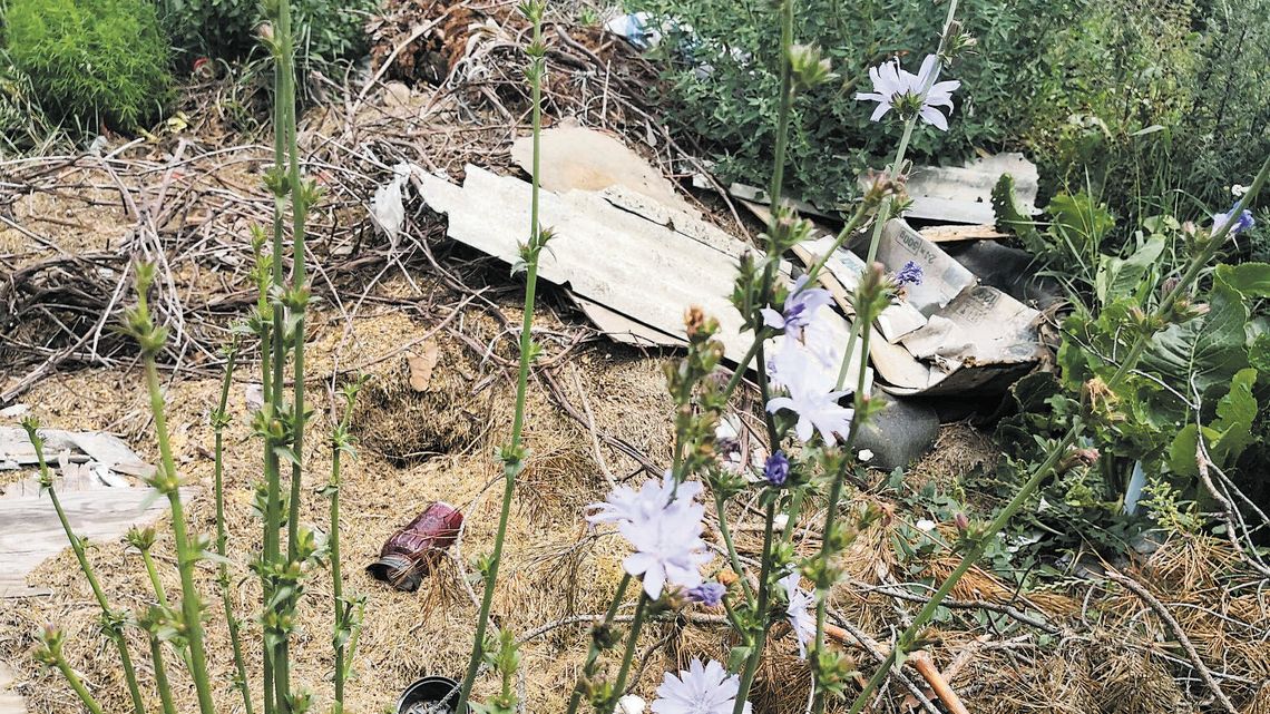 Radny wywiózł śmieci z cmentarza pod las. "Zrobiłem to w dobrej wierze" [zdjęcia]