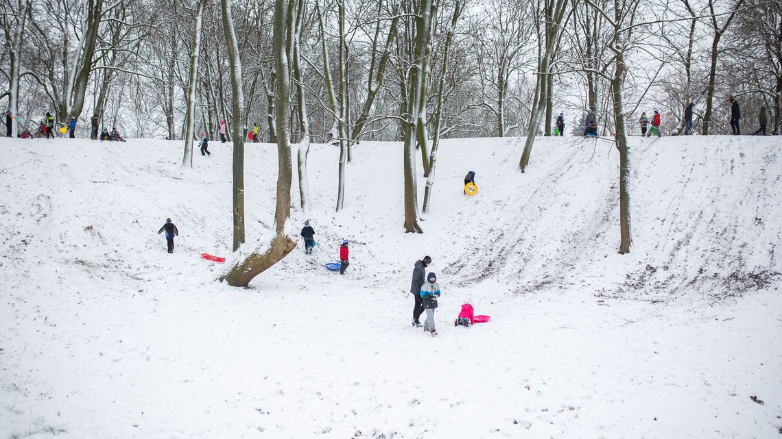 Radość po opadach śniegu. W Białej Podlaskiej górki zapełniły się saneczkarzami Radość po opadach śniegu. W Białej Podlaskiej górki zapełniły się saneczkarzami