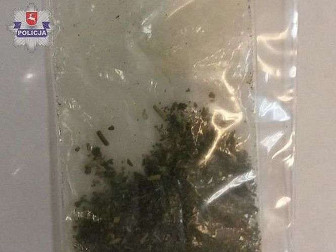 Radzyń Podlaski: 25-latek ukrył narkotyki w slipkach