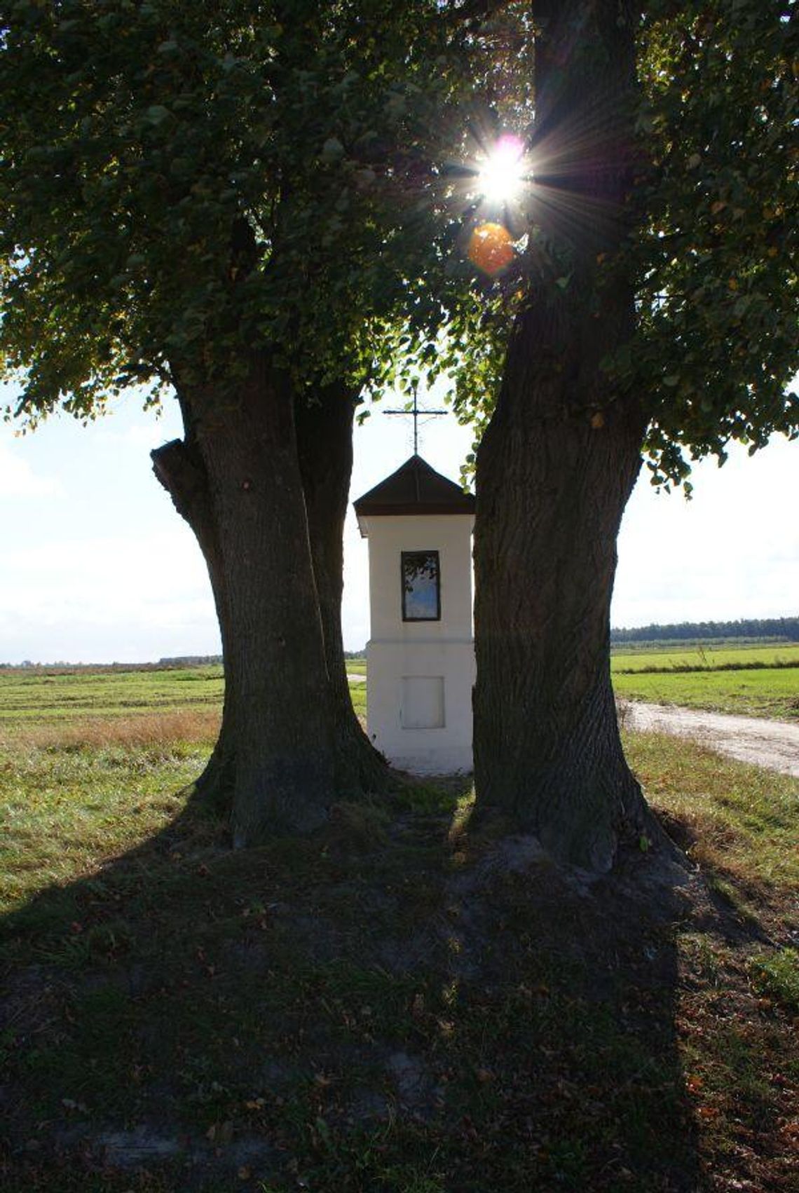 Radzyń Podlaski: Będzie szlak konnych wycieczek
