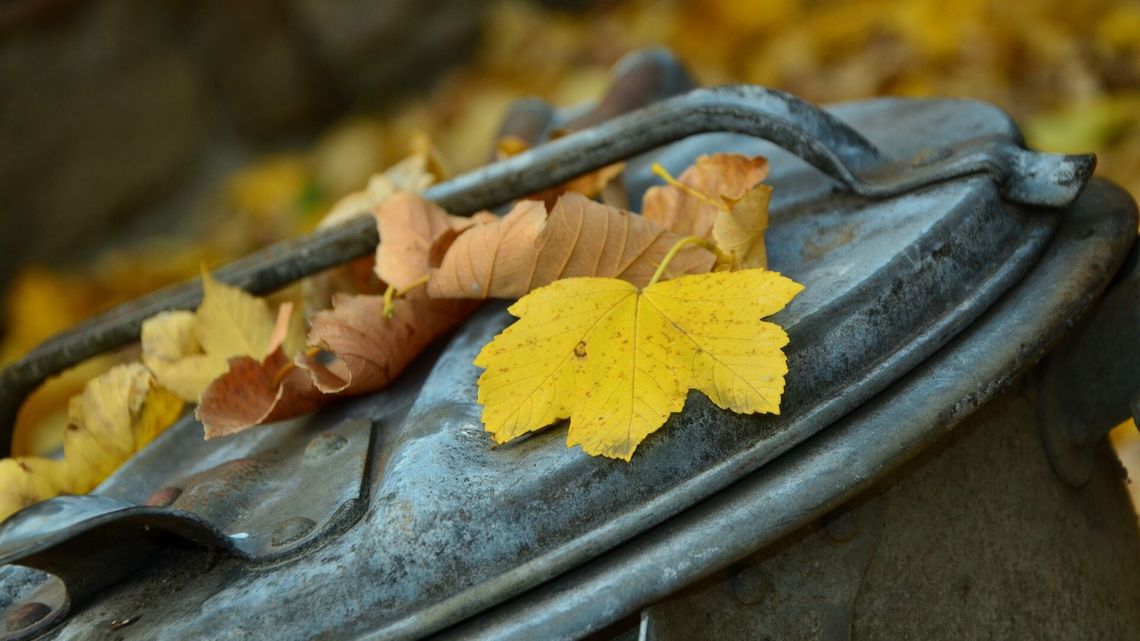 Radzyń Podlaski: Sposób na odpady zielone. Miasto założyło wielki kompostownik Radzyń Podlaski: Sposób na odpady zielone. Miasto założyło wielki kompostownik