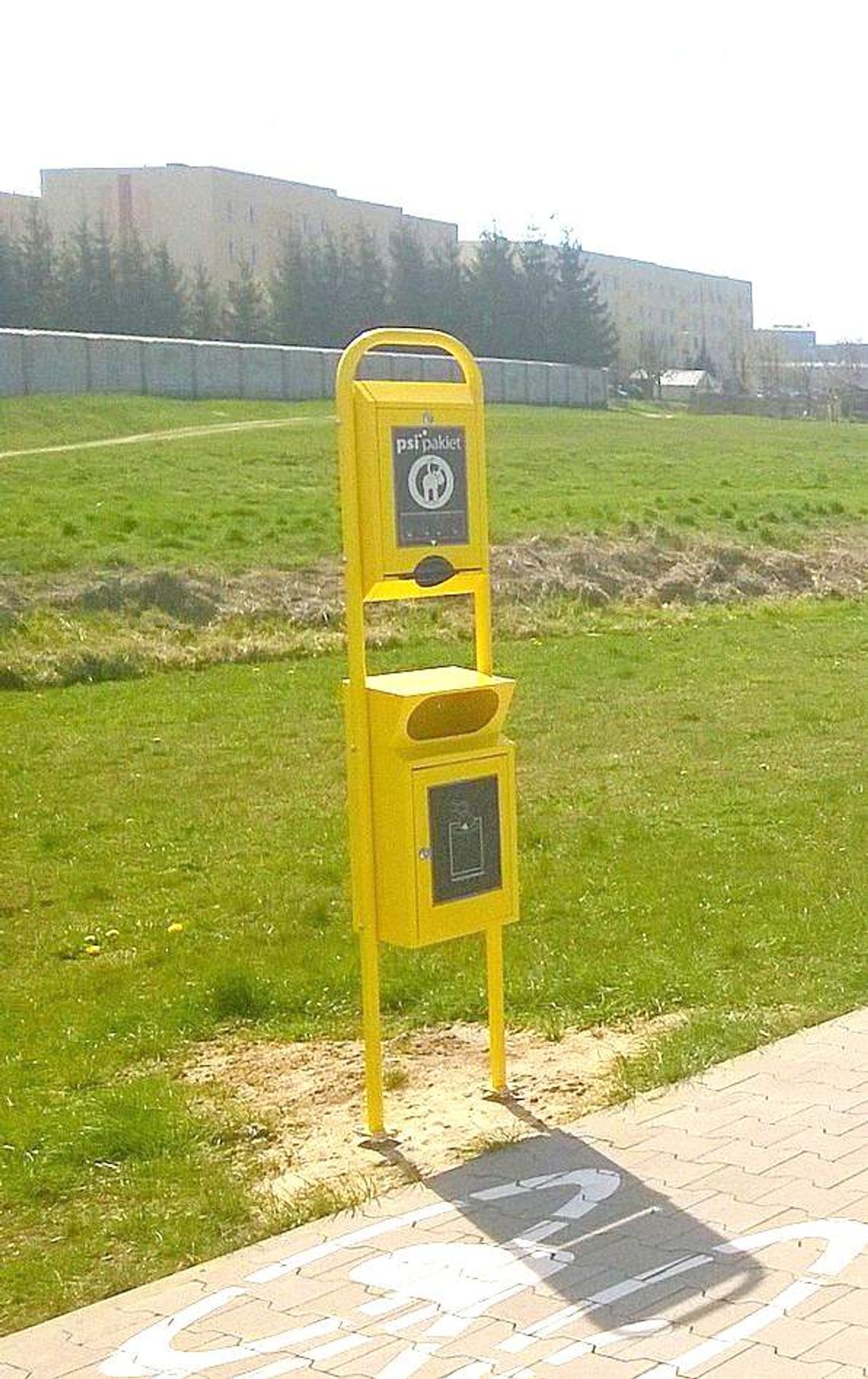 Radzyń Podlaski. Z psią kupą prosto do kosza Radzyń Podlaski. Z psią kupą prosto do kosza