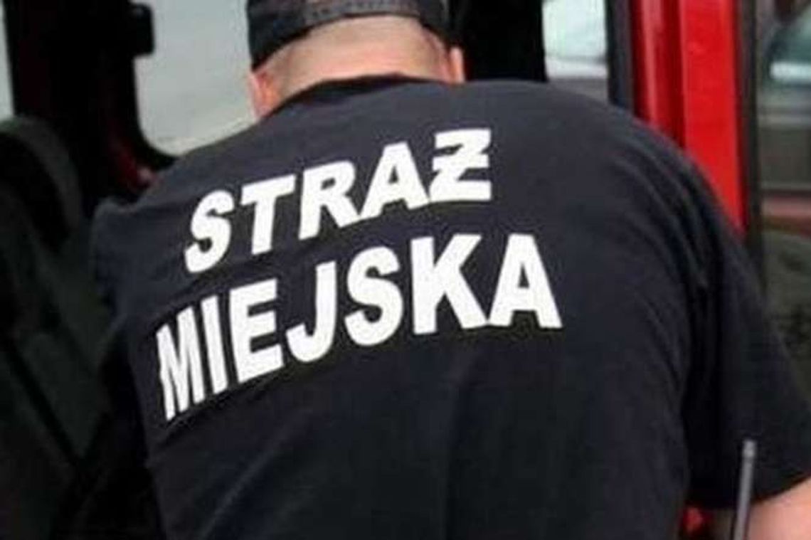 Radzyń Podlaski zrezygnował ze Straży Miejskiej 