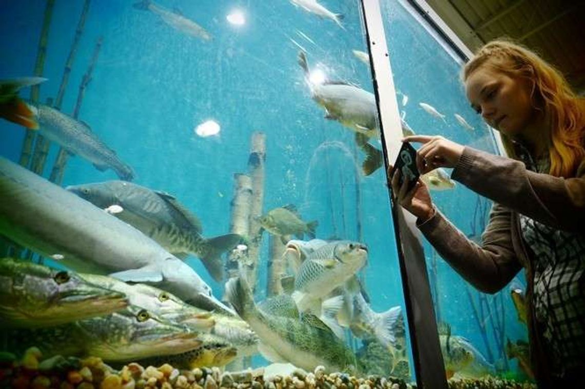 Raj dla wędkarzy. Targi Rybomania w Lublinie (zdjęcia)