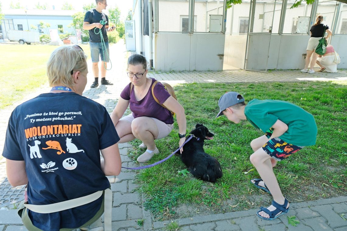 Randka z psem? Lubelskie schroniska dołączają do popularnej aplikacji Randka z psem? Lubelskie schroniska dołączają do popularnej aplikacji
