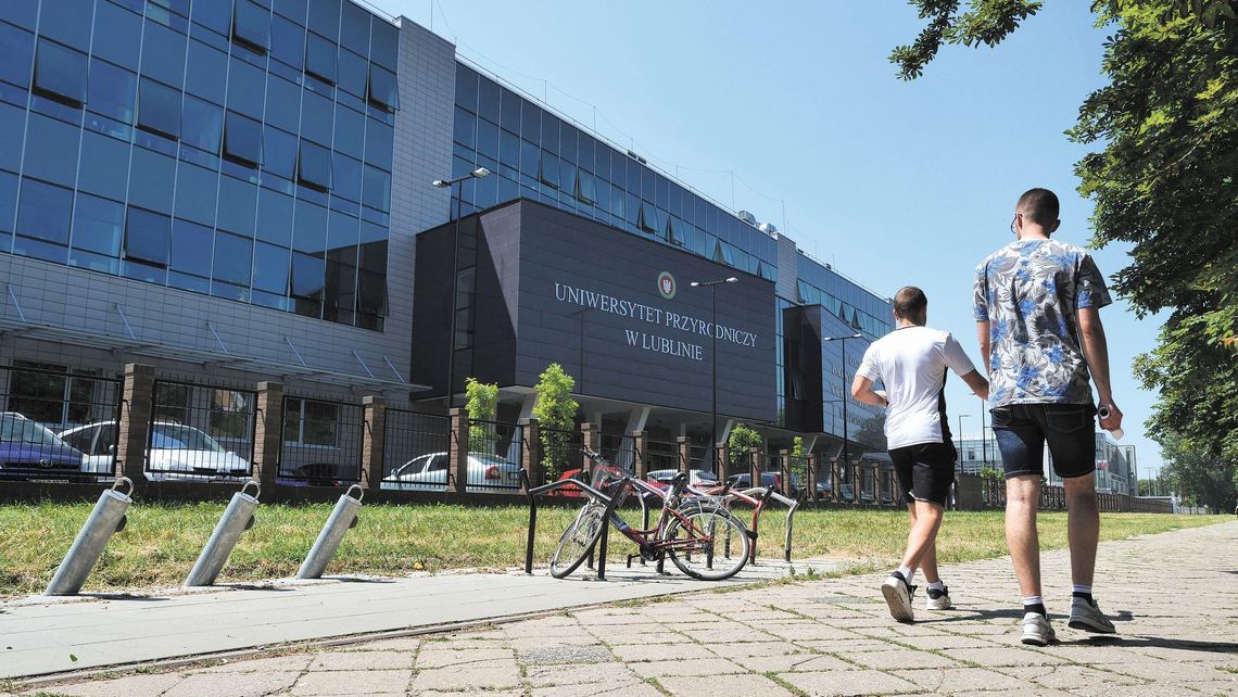 Ranking uczelni Perspektywy 2019. Która lubelska uczelnia jest najlepsza? Ranking uczelni Perspektywy 2019. Która lubelska uczelnia jest najlepsza?