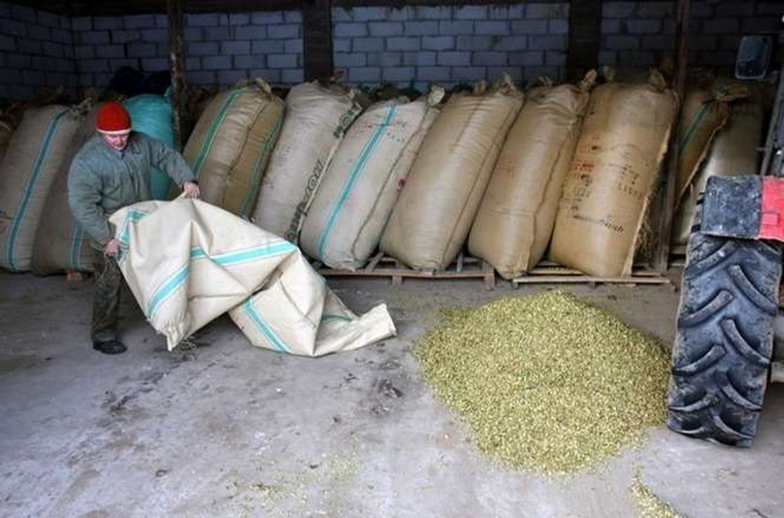 Raport na temat rolnictwa. Plusy i minusy polskiej wsi