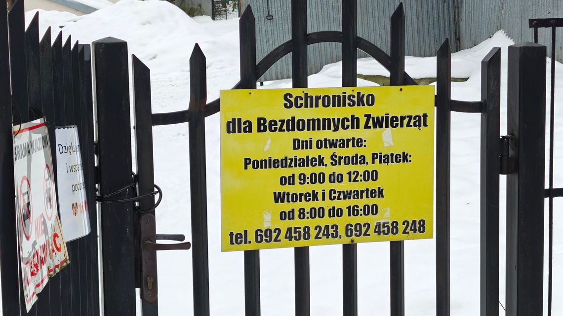 Raport nieprawidłowości. Co naprawdę dzieje się w chełmskim schronisku dla zwierząt? Schronisko dla zwierząt w Chełmie