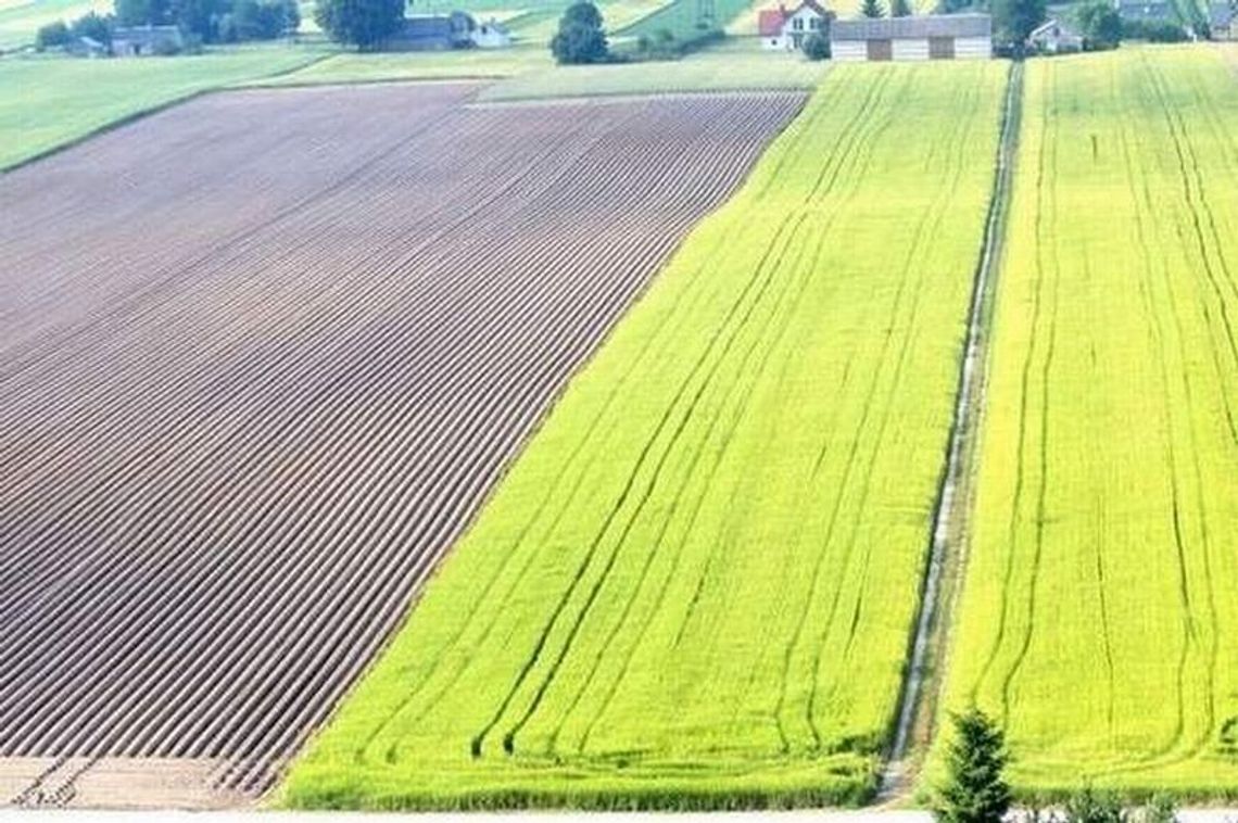 Raport o woj. lubelskim: Rozwijamy się szybko, ale jesteśmy biedni