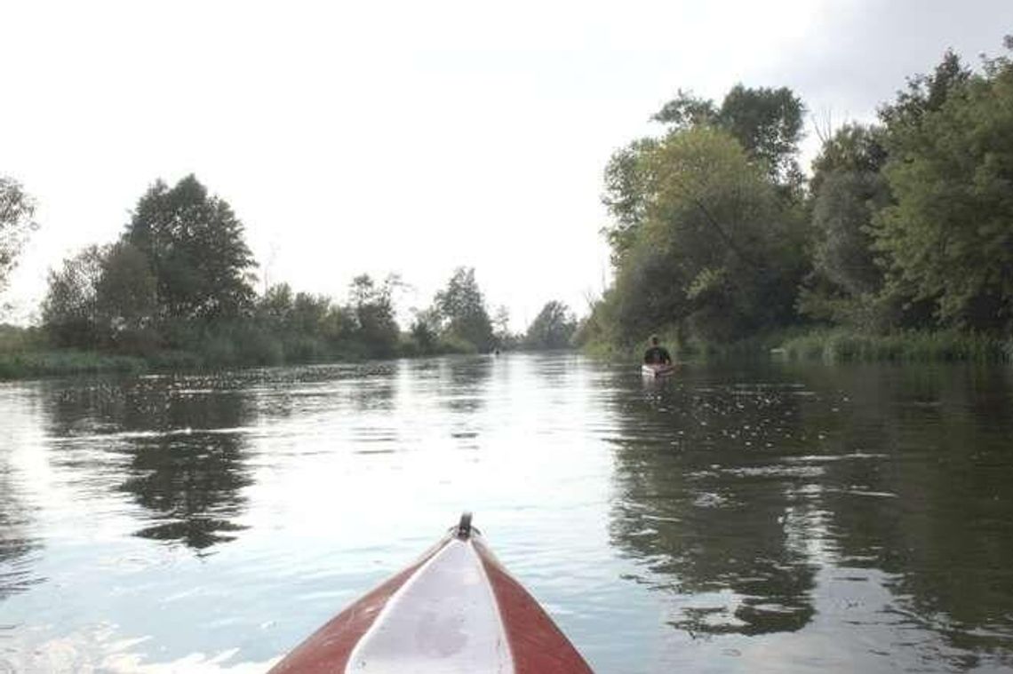 Raport: Ukraina zanieczyszcza nam Bug. Polska nie reaguje Raport: Ukraina zanieczyszcza nam Bug. Polska nie reaguje