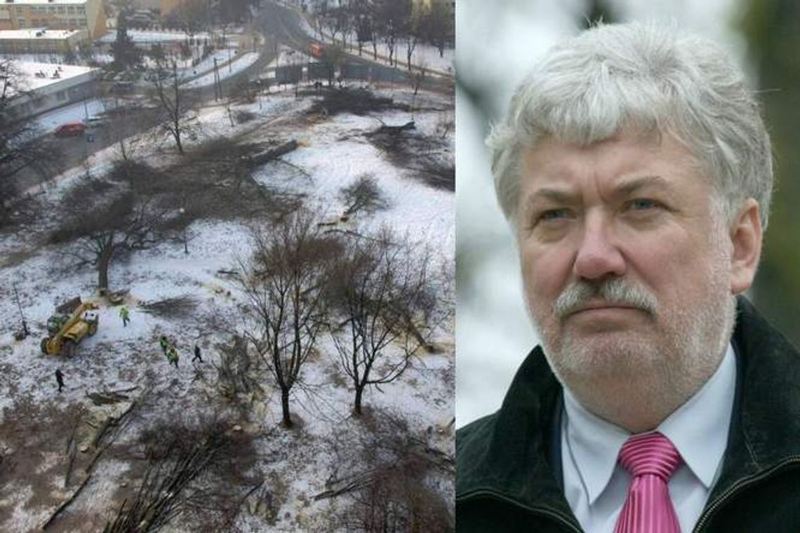 Ratusz wystąpi do prokuratury ws. wycinki drzew na Walecznych Ratusz wystąpi do prokuratury ws. wycinki drzew na Walecznych