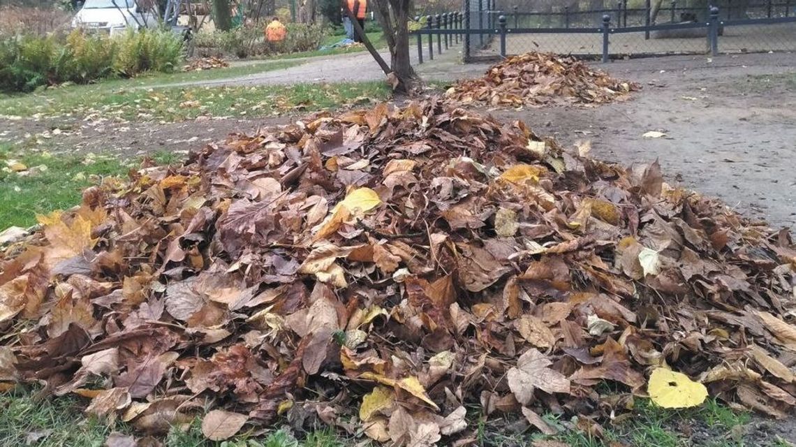 Raz to za mało. Mieszkanka prosi o częstszy odbiór odpadów. Wskazuje jeden miesiąc