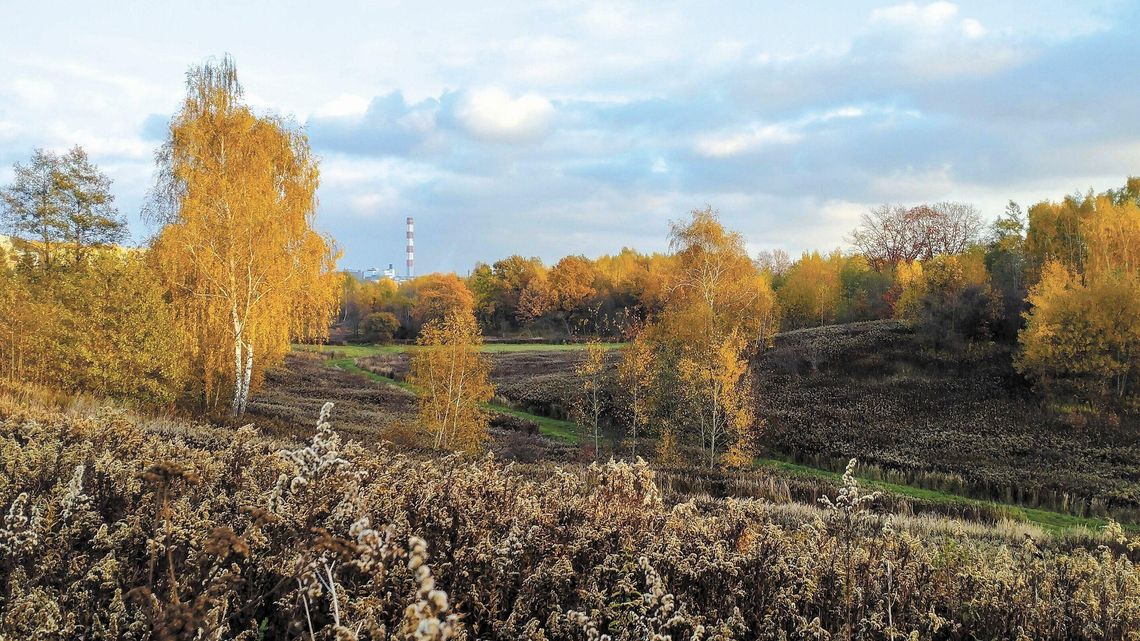 "Realizacja przedsięwzięcia będzie powodować negatywne skutki dla klimatu miasta". Ale inwestor walczy dalej