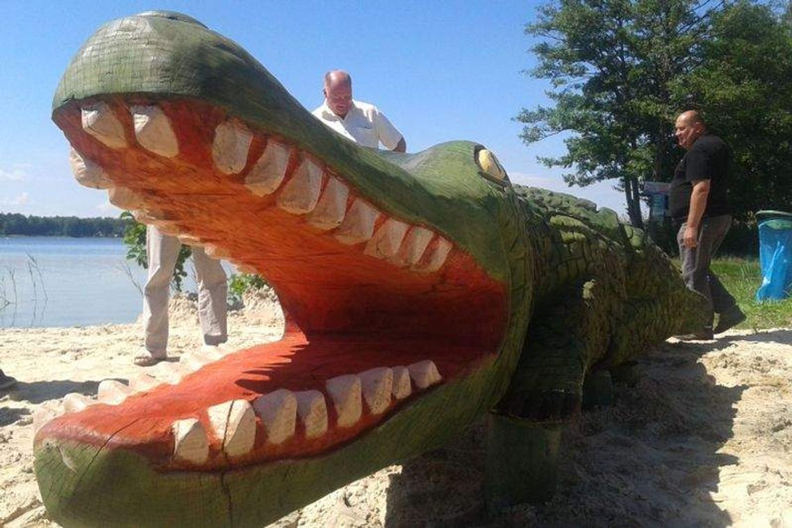 Reggae Night, Święto Krokodyla, Święto Róż i inne imprezy