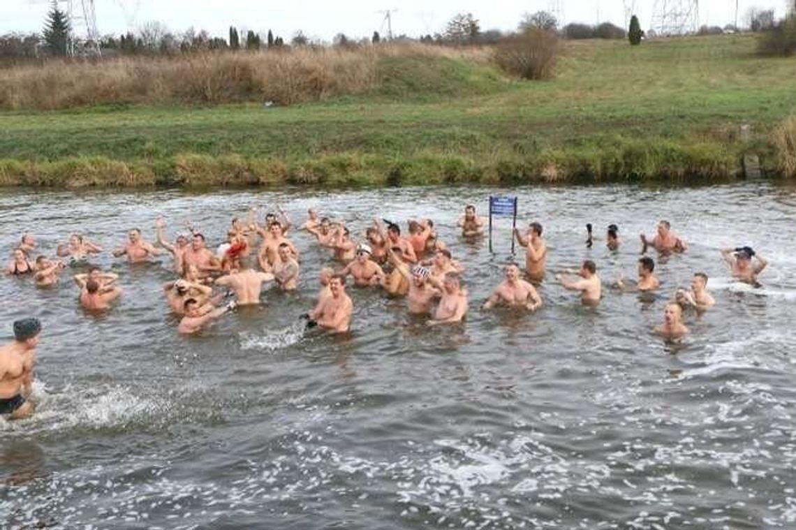 Rekordowa kąpiel morsów. Próba pobicia rekordu Guinnessa już 13 grudnia