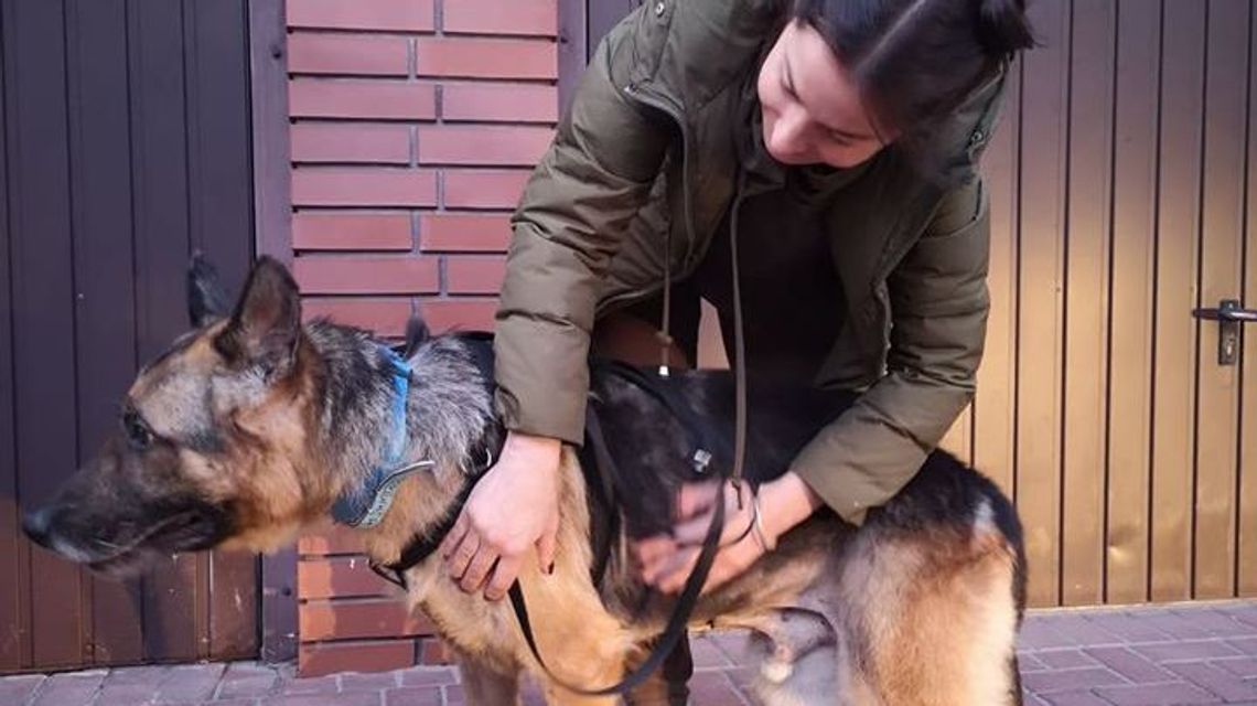 Reks zaczyna nowe życie. Z betonowej komórki trafił do prawdziwego domu